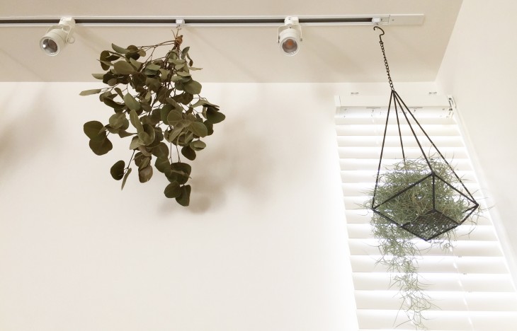賃貸アパートでもできる!植物を吊るしてインテリアにグリーンをプラス